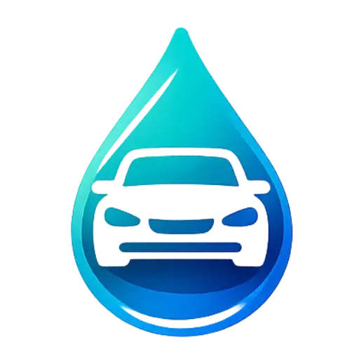 Lavage auto à domicile Fors